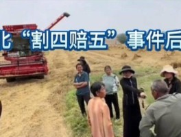 襄阳“割四赔五”风波升级多家派出所出手网红出面也无力扭转